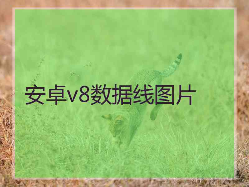 安卓v8数据线图片