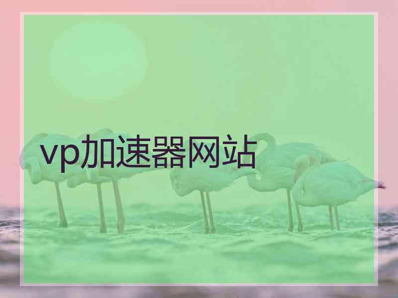 vp加速器网站