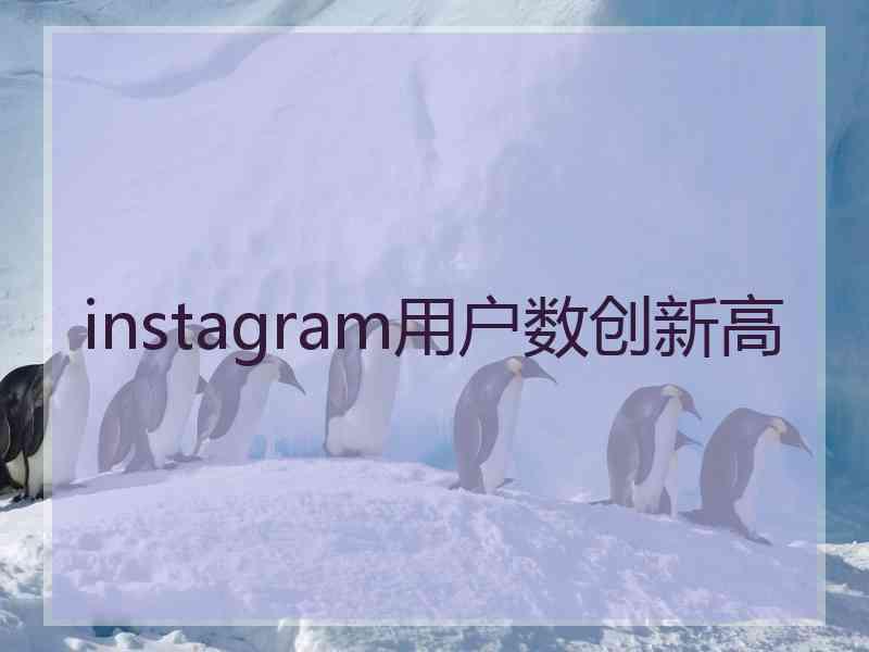 instagram用户数创新高