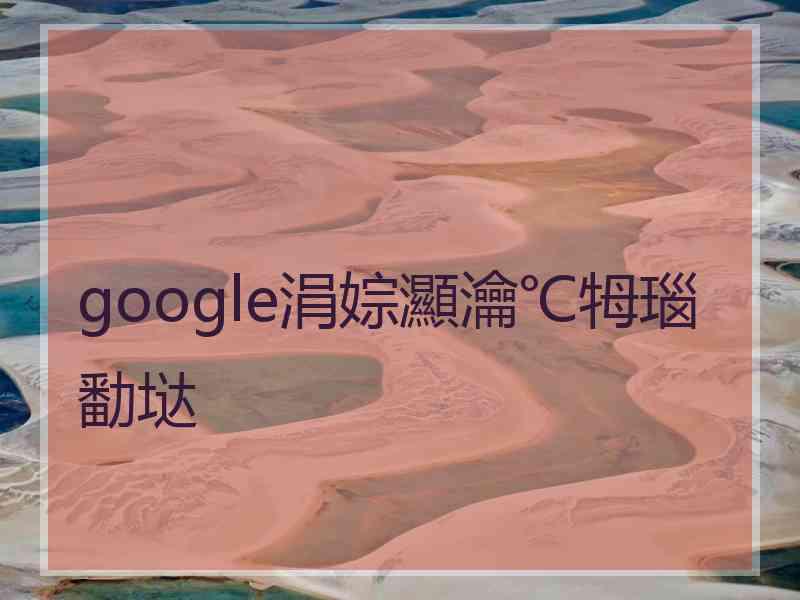 google涓婃灦瀹℃牳瑙勫垯