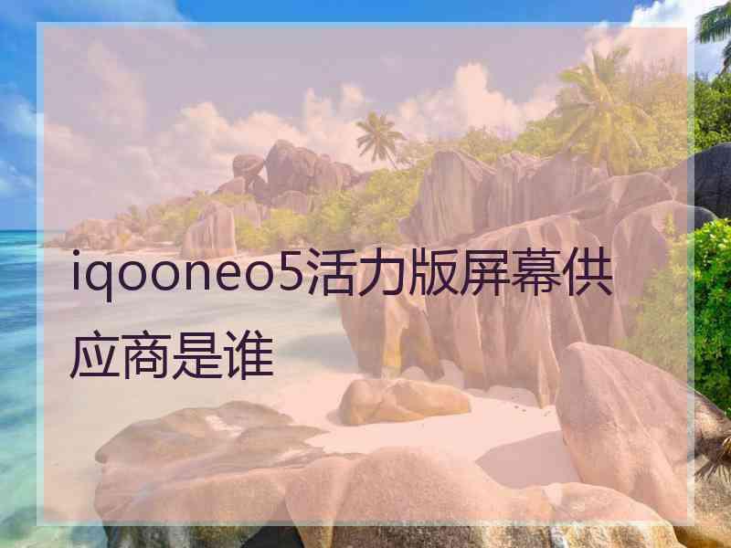 iqooneo5活力版屏幕供应商是谁