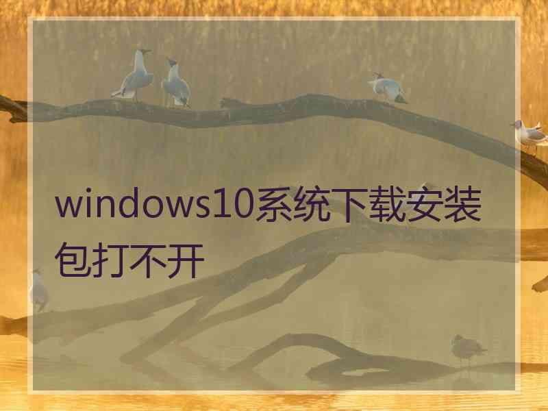 windows10系统下载安装包打不开