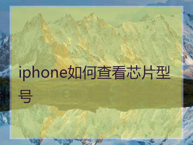 iphone如何查看芯片型号