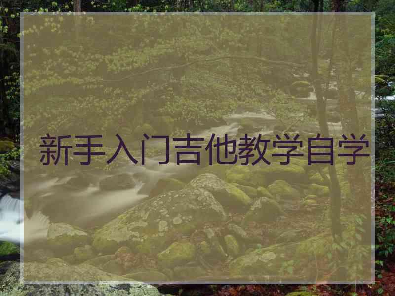 新手入门吉他教学自学