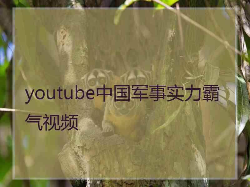 youtube中国军事实力霸气视频