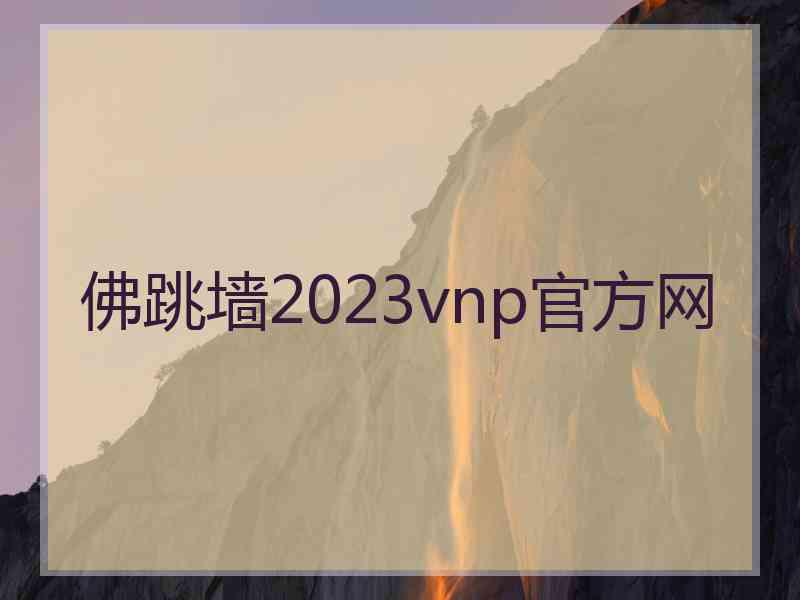 佛跳墙2023vnp官方网