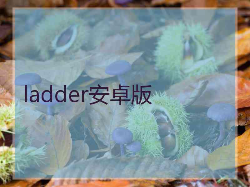 ladder安卓版