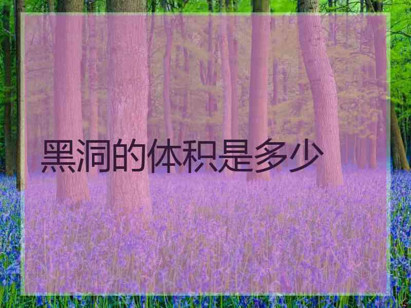 黑洞的体积是多少