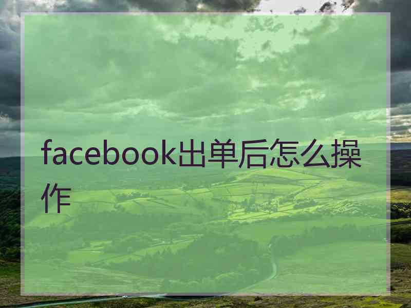 facebook出单后怎么操作