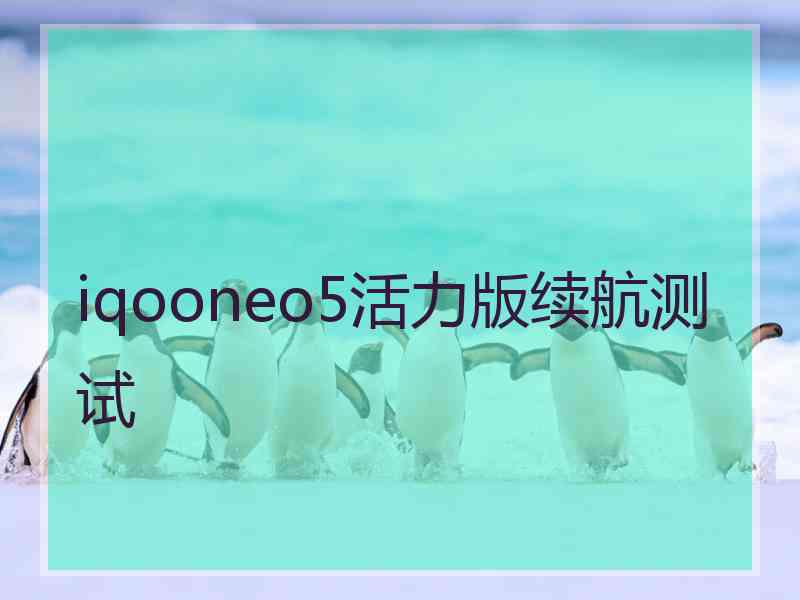 iqooneo5活力版续航测试