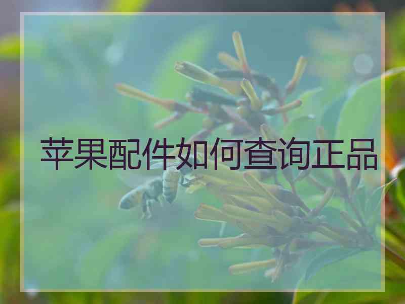 苹果配件如何查询正品