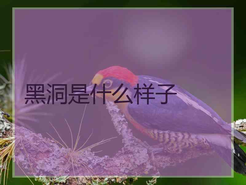 黑洞是什么样子