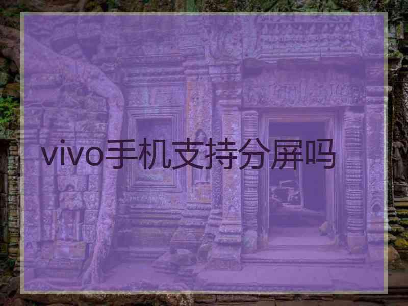 vivo手机支持分屏吗