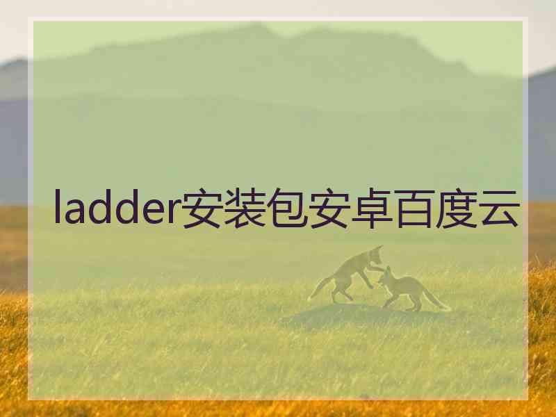 ladder安装包安卓百度云