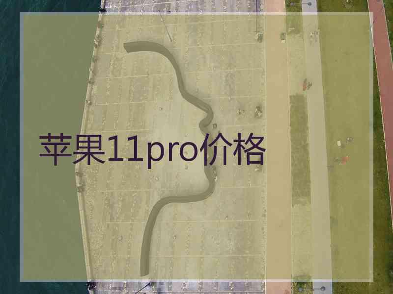 苹果11pro价格