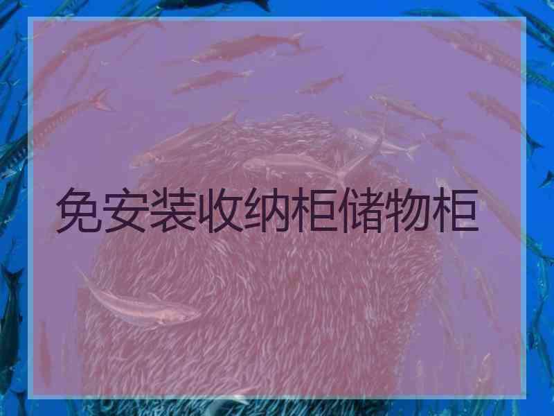 免安装收纳柜储物柜