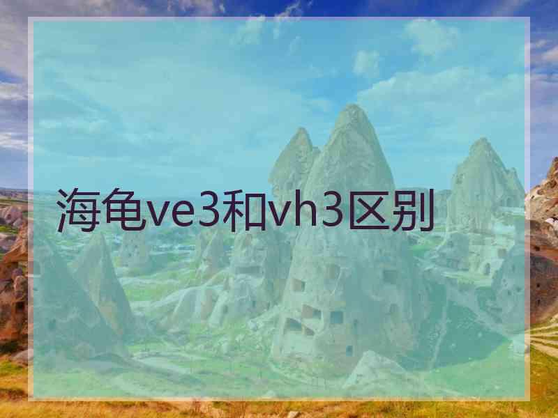 海龟ve3和vh3区别