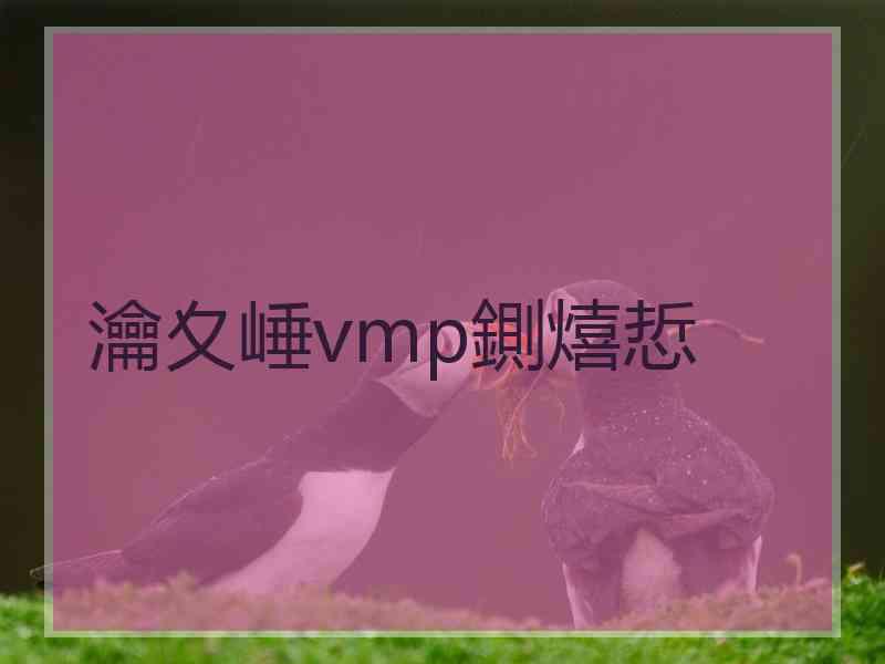 瀹夊崜vmp鍘熺悊