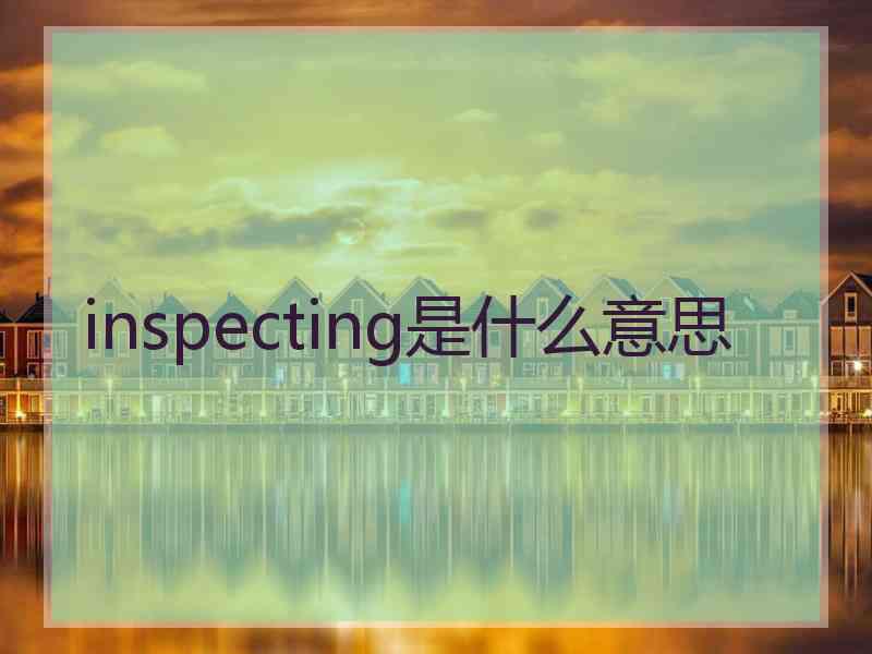 inspecting是什么意思