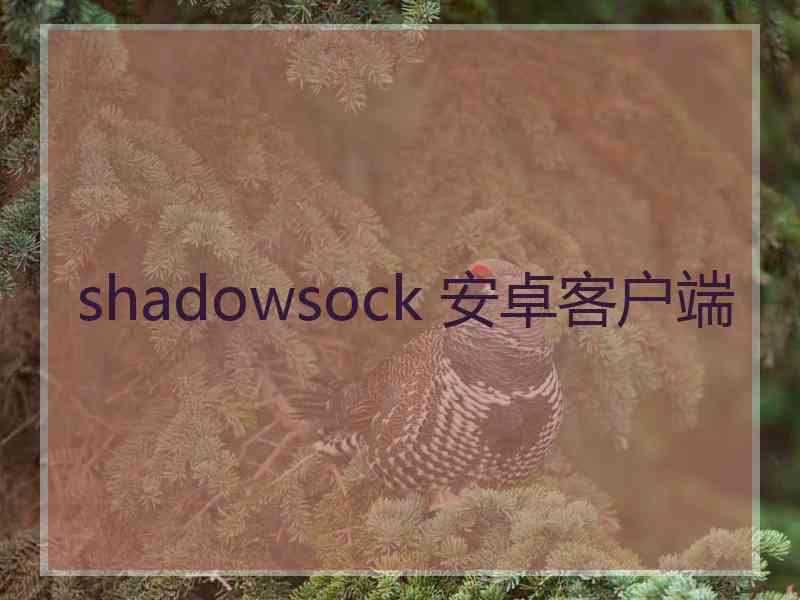 shadowsock 安卓客户端