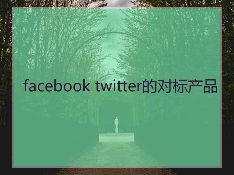 facebook twitter的对标产品