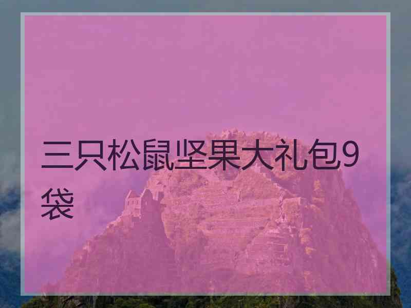 三只松鼠坚果大礼包9袋