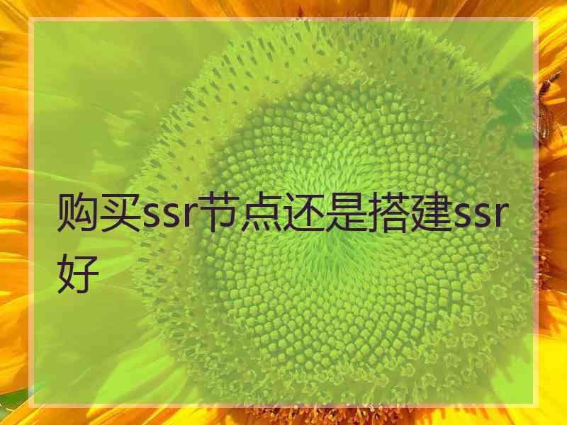 购买ssr节点还是搭建ssr好