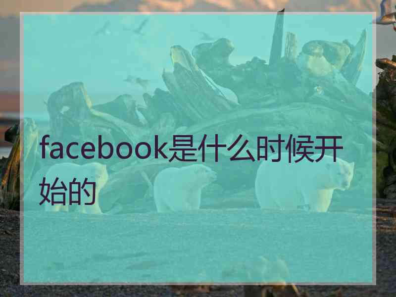 facebook是什么时候开始的