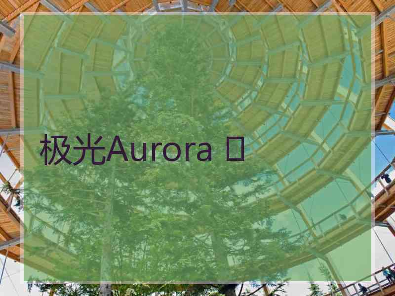 极光Aurora ✨