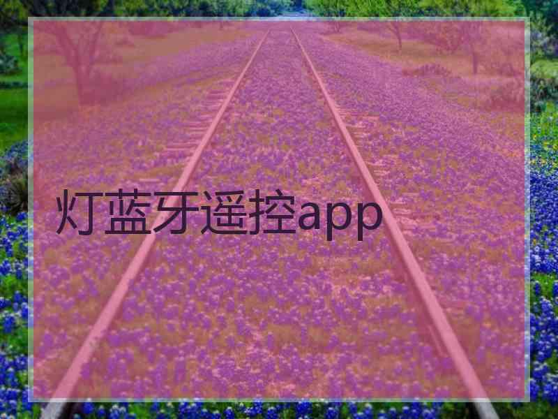 灯蓝牙遥控app