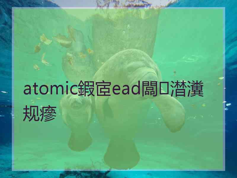 atomic鍜宧ead闆澘瀵规瘮