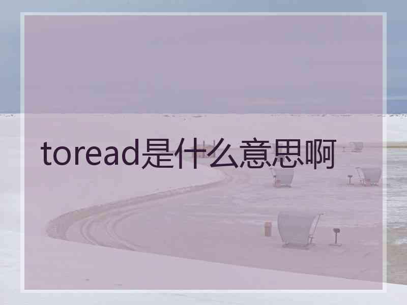 toread是什么意思啊