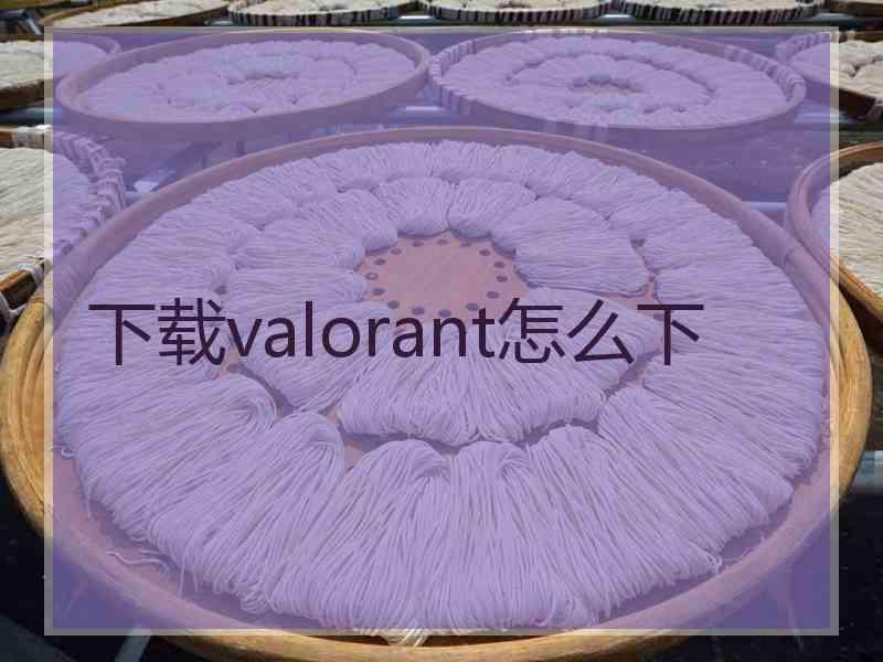 下载valorant怎么下