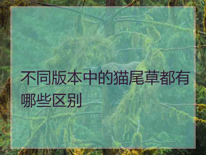 不同版本中的猫尾草都有哪些区别