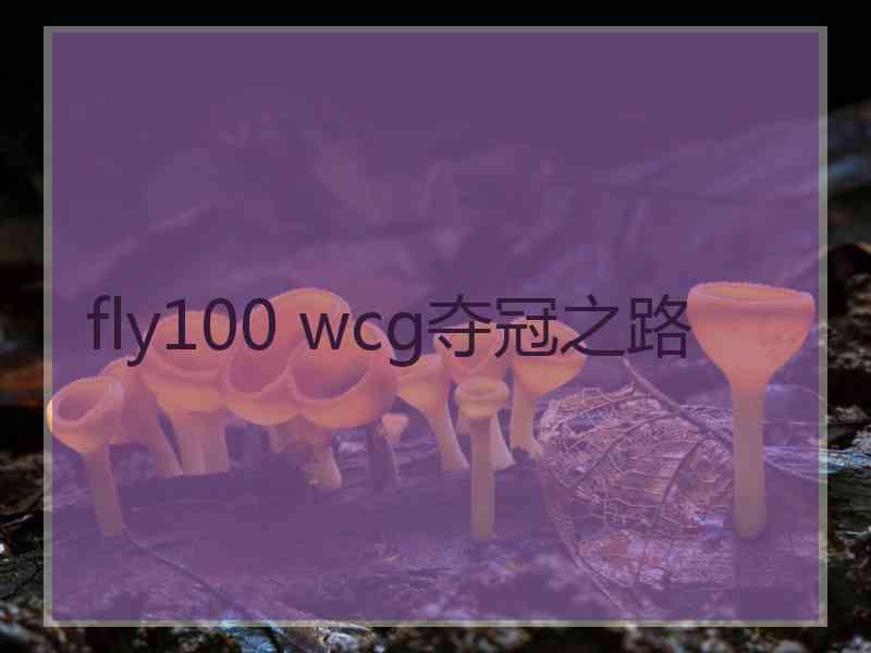 fly100 wcg夺冠之路