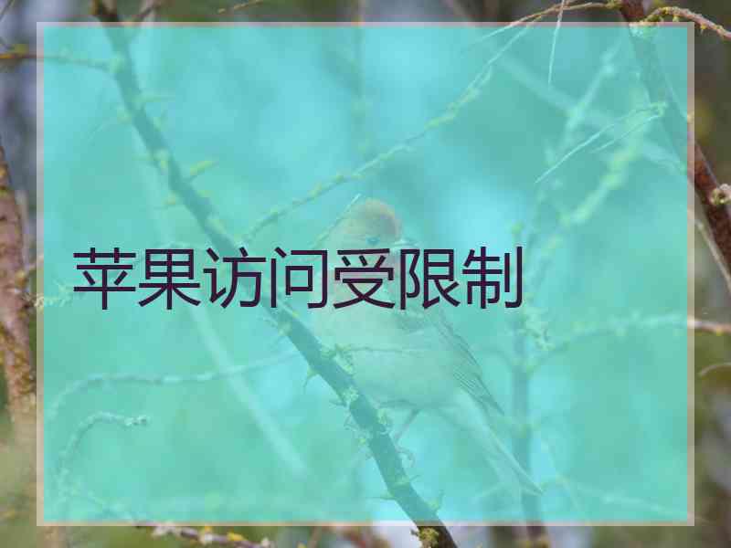 苹果访问受限制