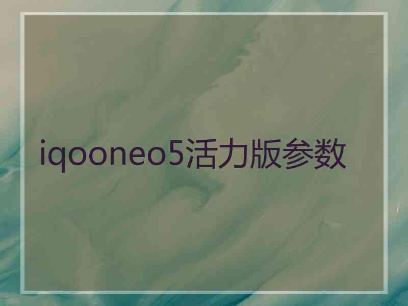 iqooneo5活力版参数