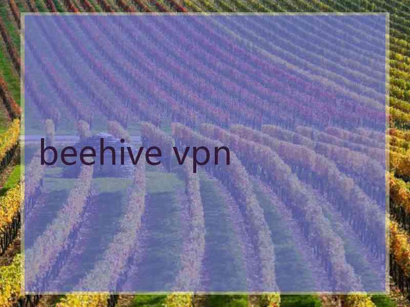 beehive vpn