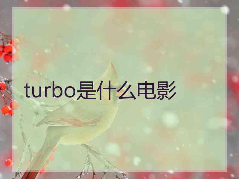 turbo是什么电影