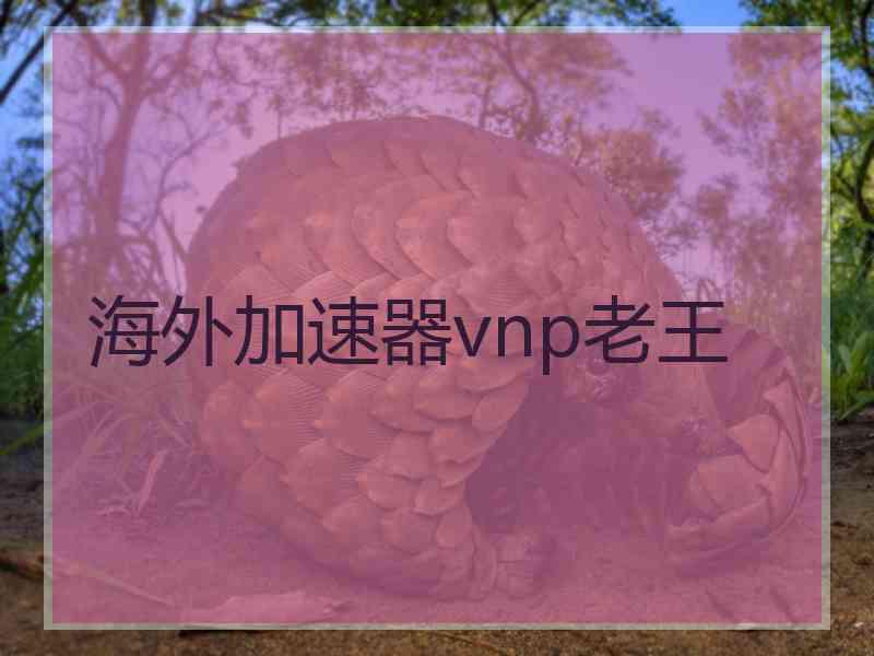 海外加速器vnp老王