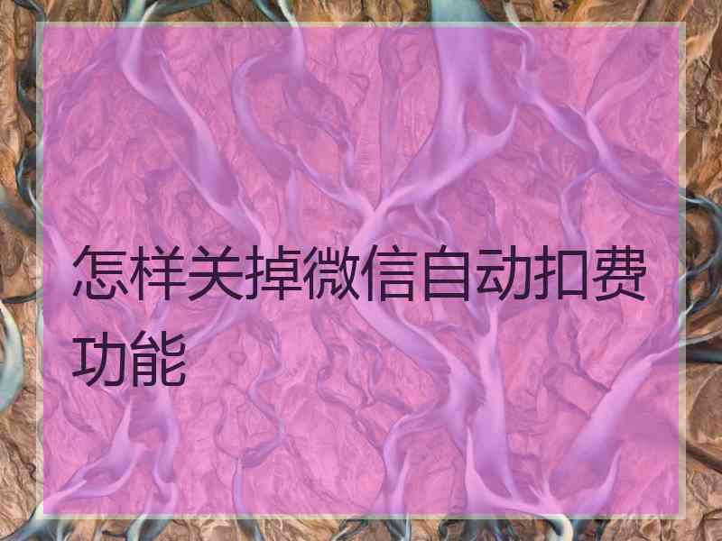 怎样关掉微信自动扣费功能