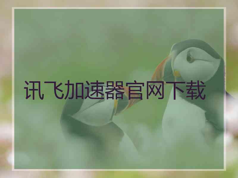 讯飞加速器官网下载