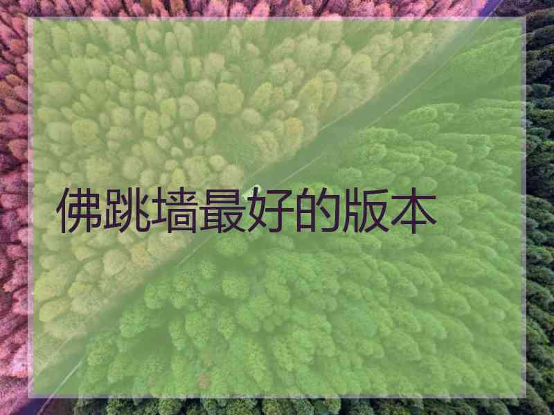 佛跳墙最好的版本