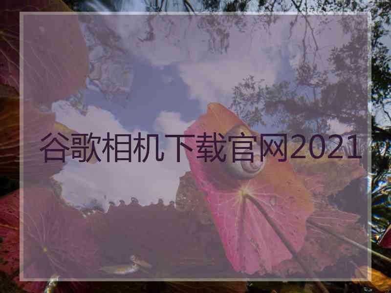 谷歌相机下载官网2021