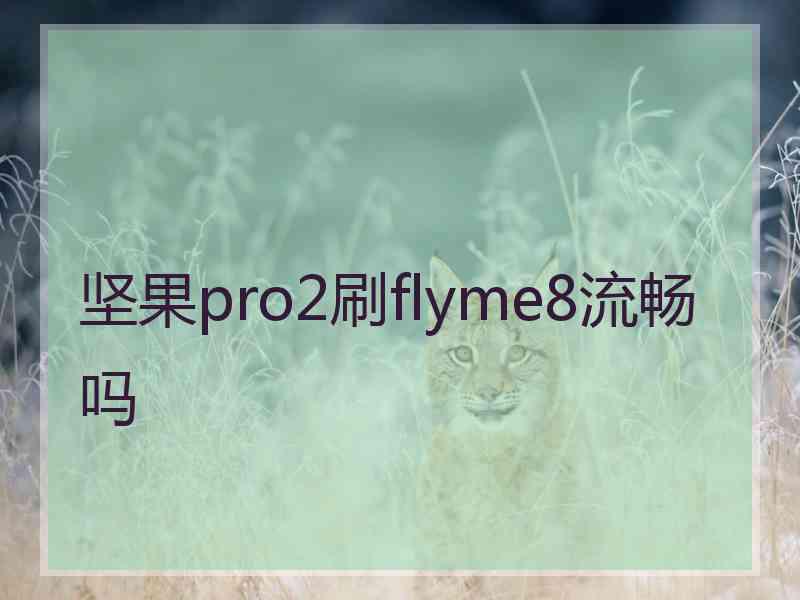 坚果pro2刷flyme8流畅吗