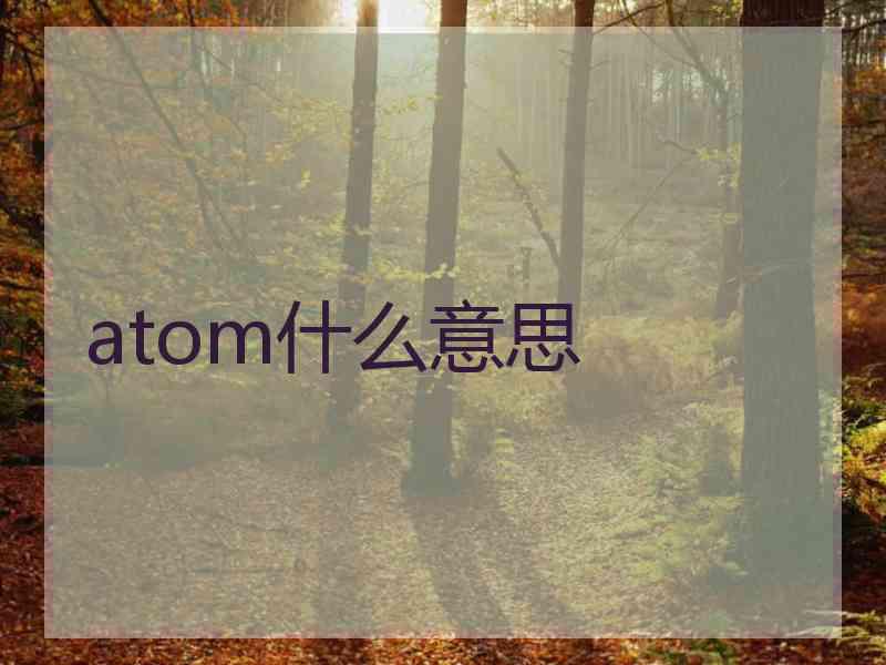 atom什么意思