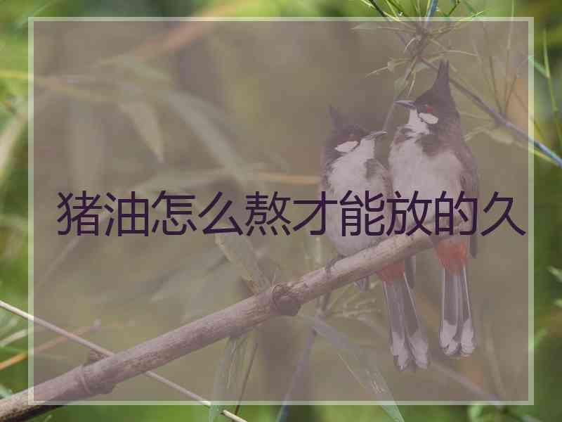 猪油怎么熬才能放的久