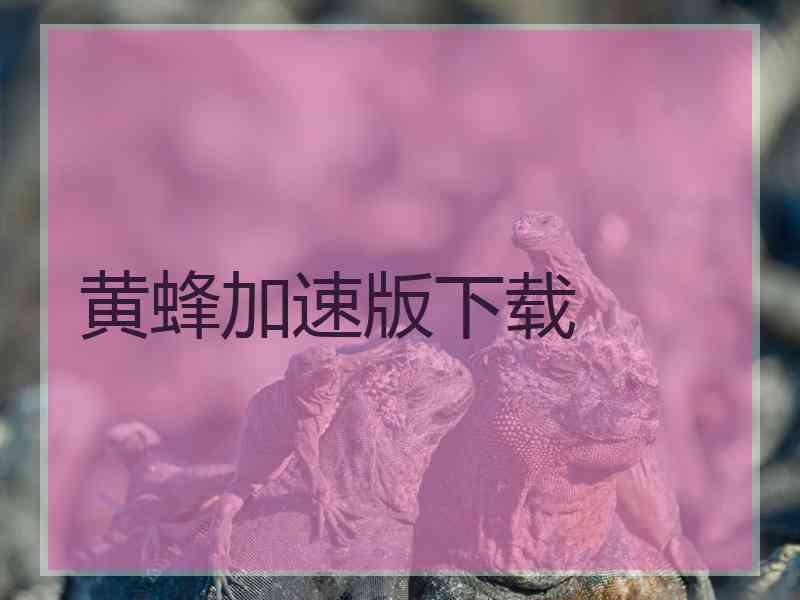 黄蜂加速版下载