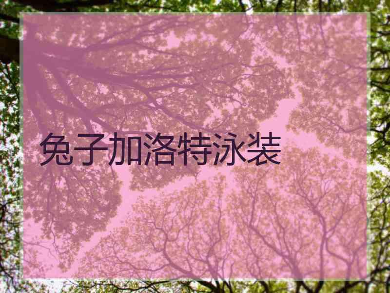 兔子加洛特泳装