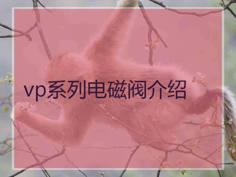 vp系列电磁阀介绍